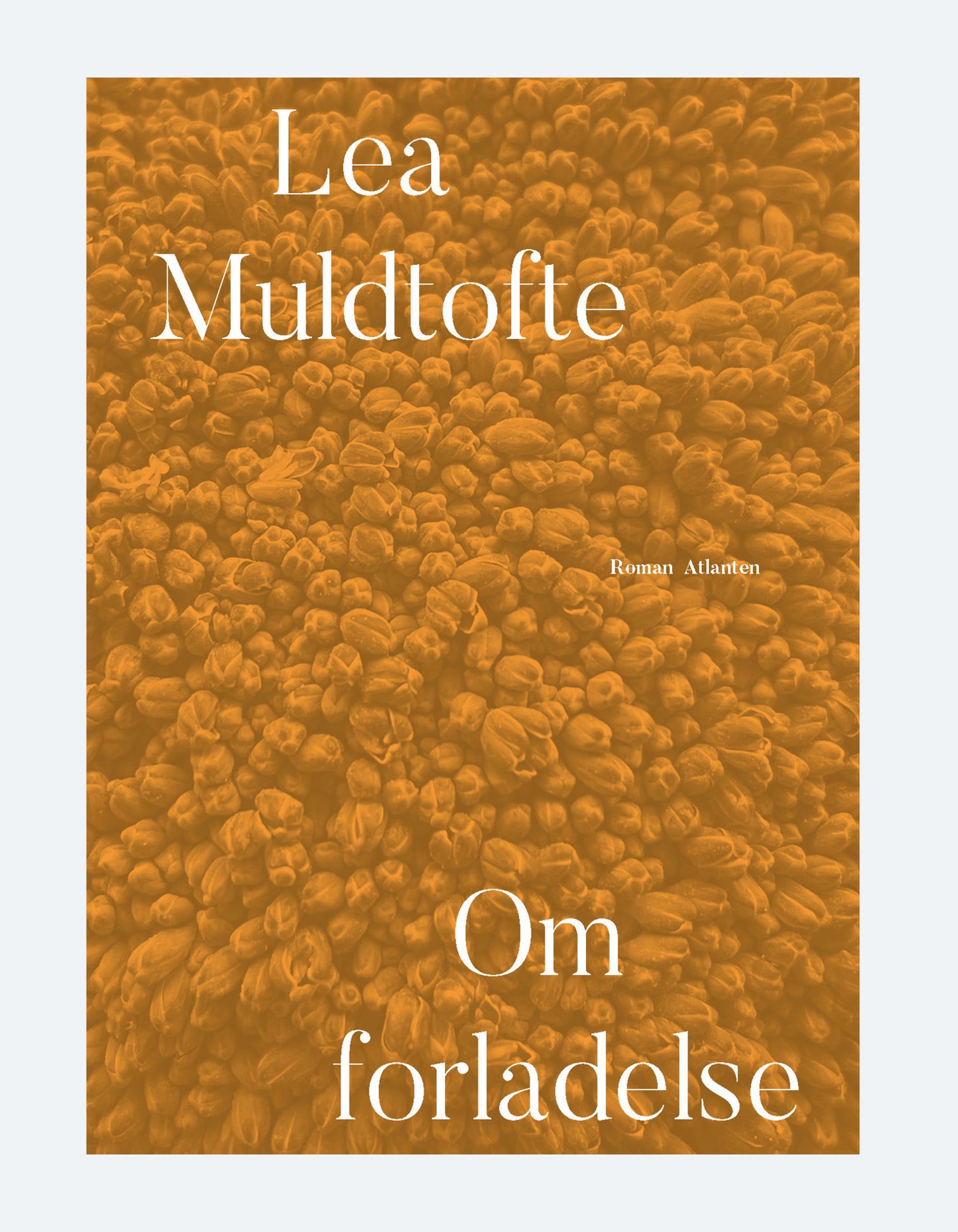 brunt og orange bogomslag af en masse små frø, der ligger tæt sammen