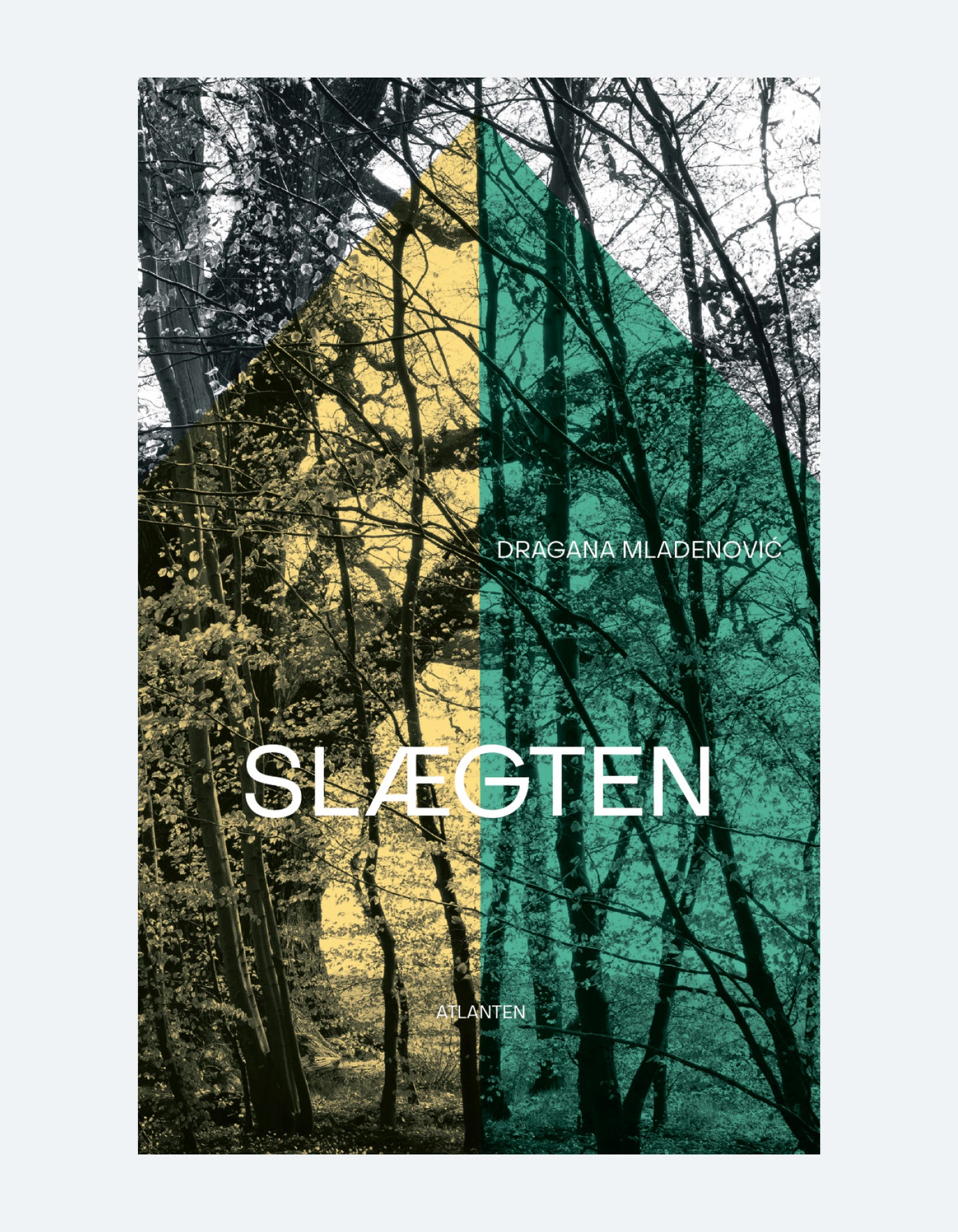 bogomslag af træer i en skov i sort, hvid, grøn og gul